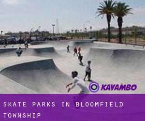 Skate Parks in Bloomfield Township