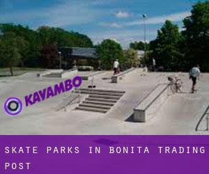 Skate Parks in Bonita Trading Post
