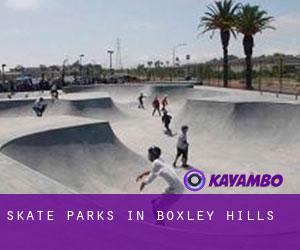 Skate Parks in Boxley Hills