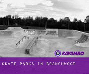 Skate Parks in Branchwood