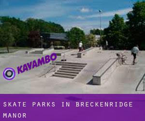 Skate Parks in Breckenridge Manor