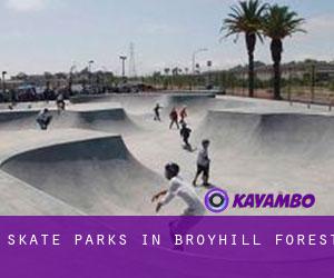 Skate Parks in Broyhill Forest