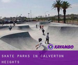 Skate Parks in Calverton Heights