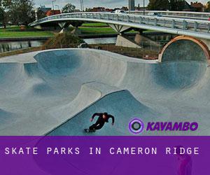 Skate Parks in Cameron Ridge