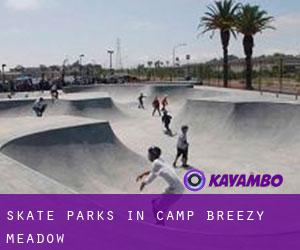 Skate Parks in Camp Breezy Meadow