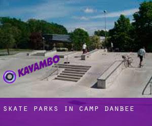 Skate Parks in Camp Danbee