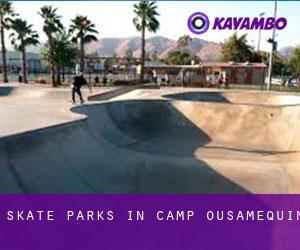 Skate Parks in Camp Ousamequin