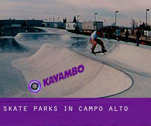 Skate Parks in Campo Alto