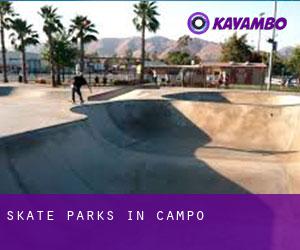 Skate Parks in Campo
