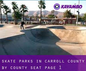 Skate Parks in Carroll County by county seat - page 1