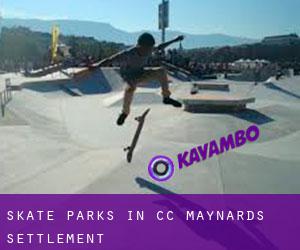 Skate Parks in CC Maynards Settlement