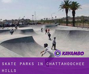 Skate Parks in Chattahoochee Hills