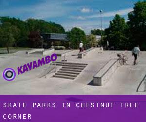Skate Parks in Chestnut Tree Corner
