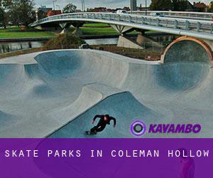 Skate Parks in Coleman Hollow