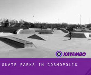 Skate Parks in Cosmopolis