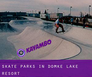 Skate Parks in Domke Lake Resort