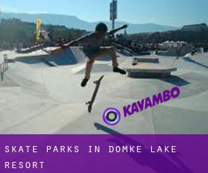 Skate Parks in Domke Lake Resort