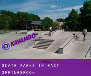 Skate Parks in East Springbrook