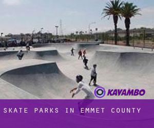 Skate Parks in Emmet County