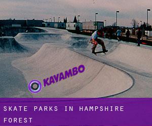 Skate Parks in Hampshire Forest