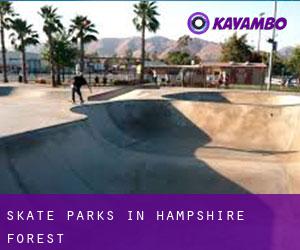 Skate Parks in Hampshire Forest