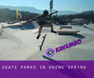 Skate Parks in Hoene Spring