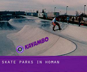 Skate Parks in Homan