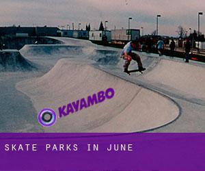 Skate Parks in June