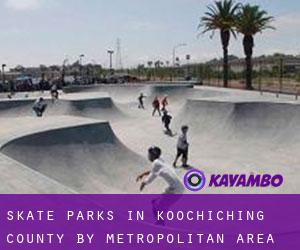 Skate Parks in Koochiching County by metropolitan area - page 1