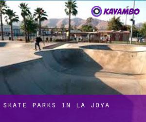 Skate Parks in La Joya