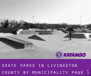 Skate Parks in Livingston County by municipality - page 1