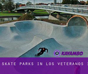 Skate Parks in Los Veteranos I