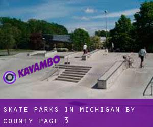 Skate Parks in Michigan by County - page 3