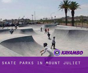 Skate Parks in Mount Juliet