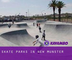Skate Parks in New Munster
