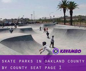 Skate Parks in Oakland County by county seat - page 1