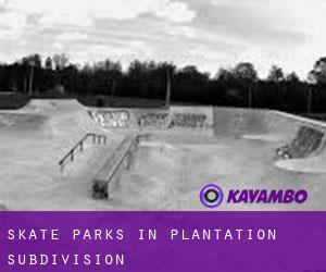 Skate Parks in Plantation Subdivision