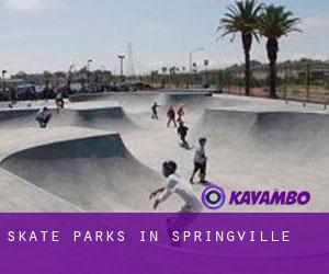 Skate Parks in Springville
