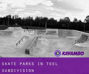 Skate Parks in Teel Subdivision