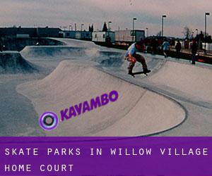 Skate Parks in Willow Village Home Court