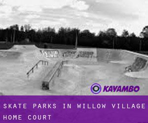 Skate Parks in Willow Village Home Court