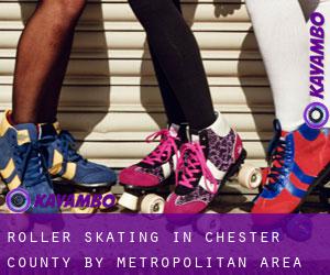 Roller Skating in Chester County by metropolitan area - page 11