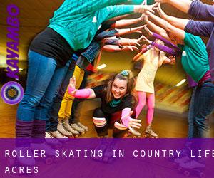 Roller Skating in Country Life Acres