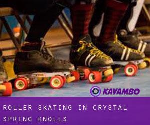 Roller Skating in Crystal Spring Knolls