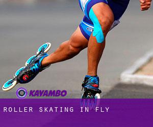 Roller Skating in Fly