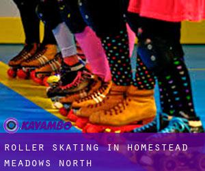 Roller Skating in Homestead Meadows North