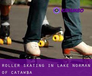 Roller Skating in Lake Norman of Catawba