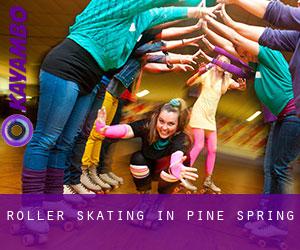 Roller Skating in Pine Spring
