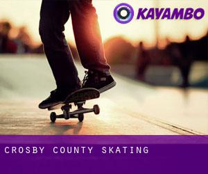 Crosby County skating