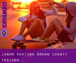 Lanam skating (Brown County, Indiana)